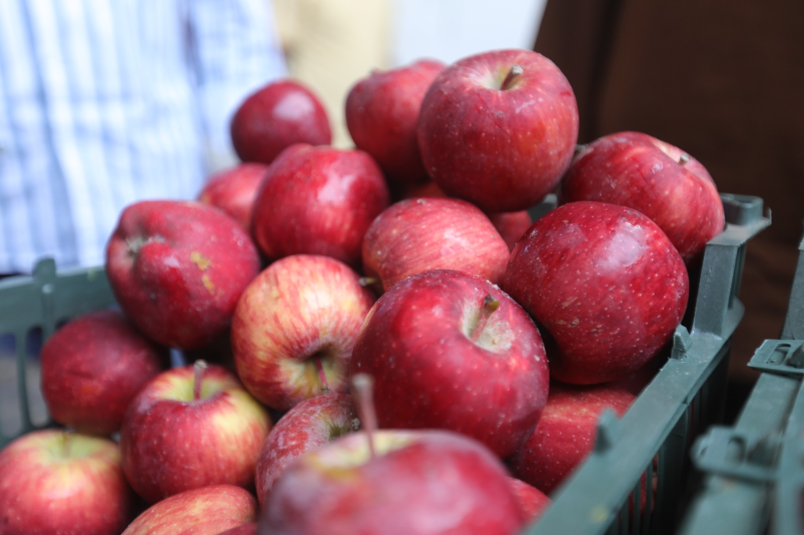 Irayan Apples - Close-Up